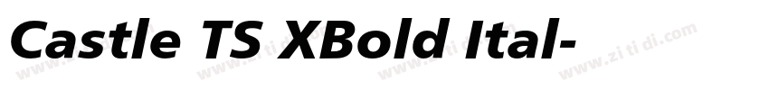 Castle TS XBold Ital字体转换